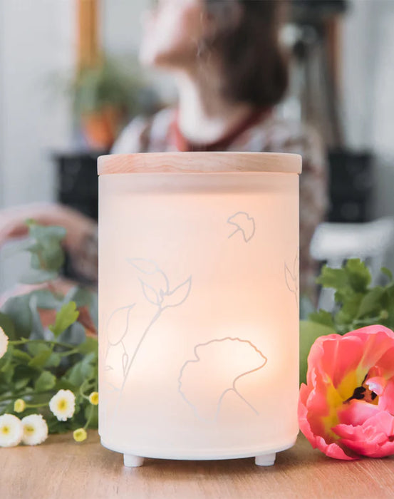 Maison Berger Mist Diffuser-Aroma Energy